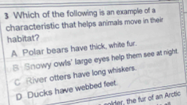 Which of the following is an example of a
characteristic that helps animals move in their
habitat?
A Polar bears have thick, white fur.
B Snowy owls' large eyes help them see at night.
C River otters have long whiskers.
D Ducks have webbed feet.
nider, the fur of an Arctic