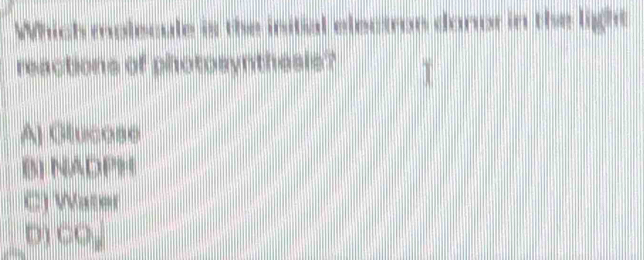 Which molecule is the initial electroe donor in the light
reactions of photosynthesis?
A] Glucose
B) NADPH
C) Water
D)CO