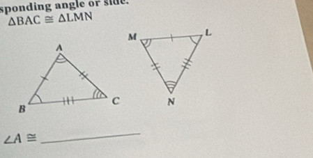 sponding angle or side.
△ BAC≌ △ LMN
∠ A≌
_