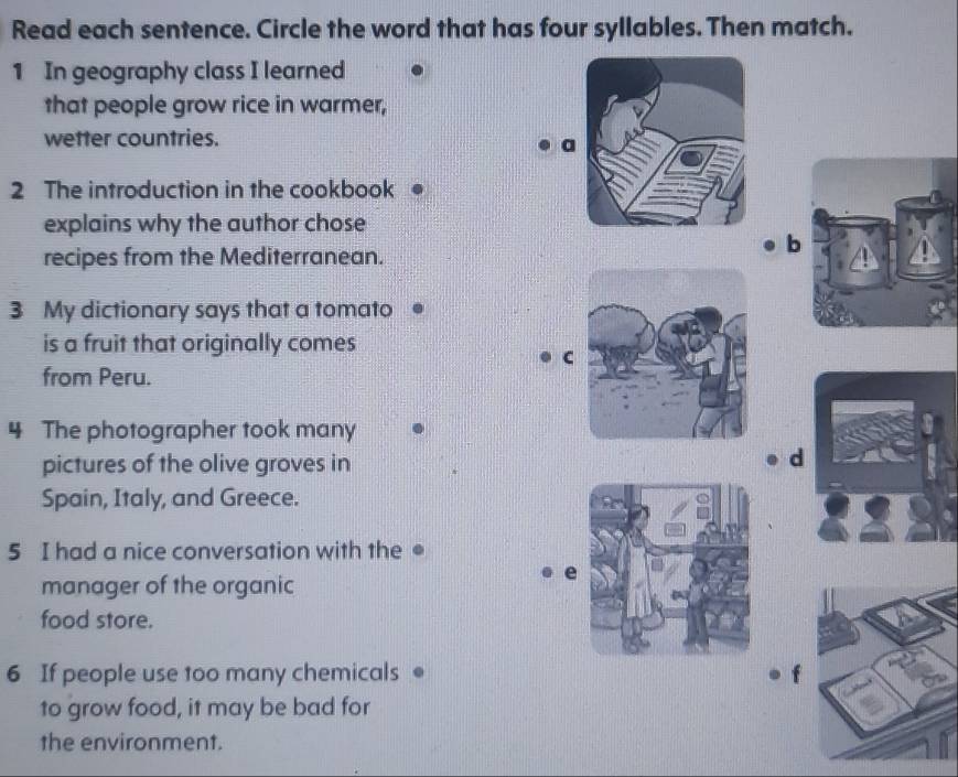 Read each sentence. Circle the word that has four syllables. Then match. 
1 In geography class I learned 
that people grow rice in warmer, 
wetter countries. 
a 
2 The introduction in the cookbook 
explains why the author chose 
recipes from the Mediterranean. 
b 
3 My dictionary says that a tomato 
is a fruit that originally comes 
C 
from Peru. 
4 The photographer took many 
pictures of the olive groves in 
d 
Spain, Italy, and Greece. 
5 I had a nice conversation with the 
e 
manager of the organic 
food store. 
6 If people use too many chemicals 
to grow food, it may be bad for 
the environment.