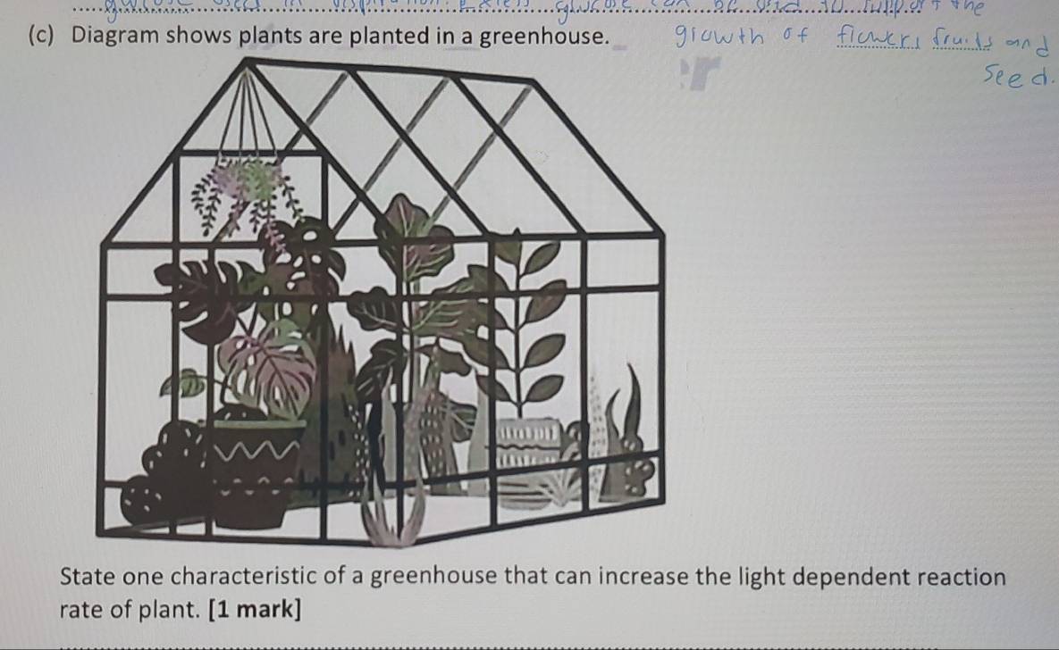 Diagram shows plants are planted in a greenhouse. 
State one characteristic of a greenhouse that can increase the light dependent reaction 
rate of plant. [1 mark]