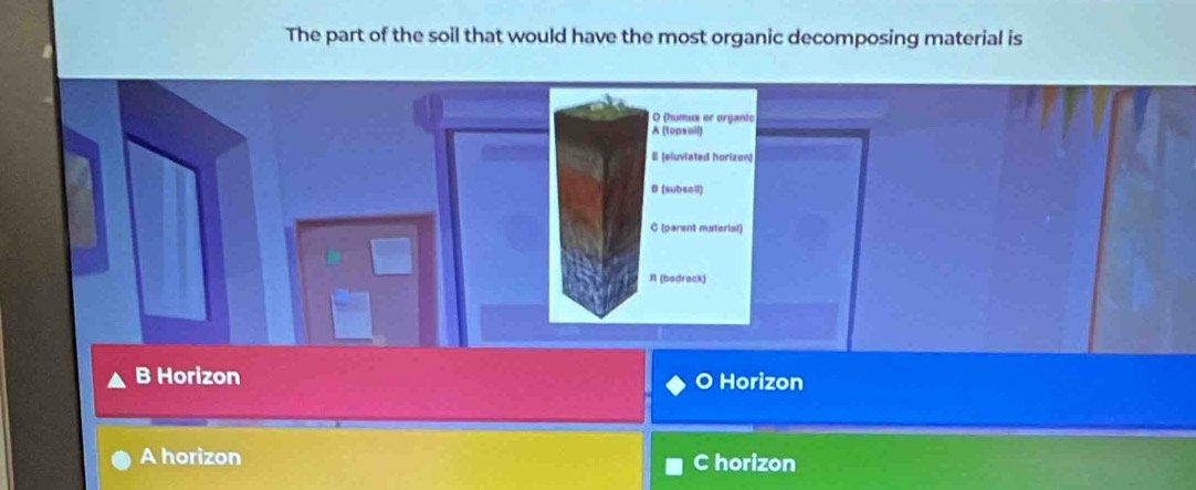 The part of the soil that would have the most organic decomposing material is
O (humux or organte
A (topsoil)
E (eluviated horizon)
B (subsoll)
C (parent materisi)
R (bedrack)
B Horizon O Horizon
A horizon C horizon