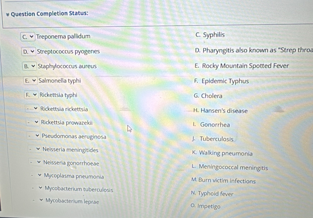 Question Completion Status:
C. Treponema pallidum C. Syphilis
D. Streptococcus pyogenes D. Pharyngitis also known as "Strep throa
B. ✔ Staphylococcus aureus E. Rocky Mountain Spotted Fever
E. ✔ Salmonella typhi F. Epidemic Typhus
F. Rickettsia typhi G. Cholera
Rickettsia rickettsia H. Hansen's disease
Rickettsia prowazekii I. Gonorrhea
Pseudomonas aeruginosa J.Tuberculosis
Neisseria meningitides K. Walking pneumonia
Neisseria gonorrhoeae L. Meningococcal meningitis
Mycoplasma pneumonia M.Burn victim infections
Mycobacterium tuberculosis N. Typhoid fever
Mycobacterium leprae O. Impetigo