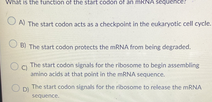 Solved: What is the function of the start codon of an mRNA sequence? A ...