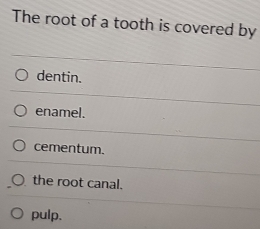 The root of a tooth is covered by
dentin.
enamel.
cementum.
the root canal.
pulp.