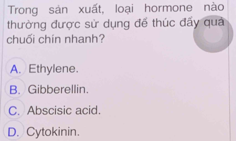 Trong sản xuất, loại hormone nào
thường được sử dụng để thúc đẩy quả
chuối chín nhanh?
A. Ethylene.
B. Gibberellin.
C. Abscisic acid.
D. Cytokinin.