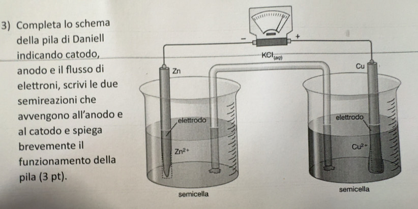 Risolto:Completa lo schema della pila di Daniell indicando catodo ...
