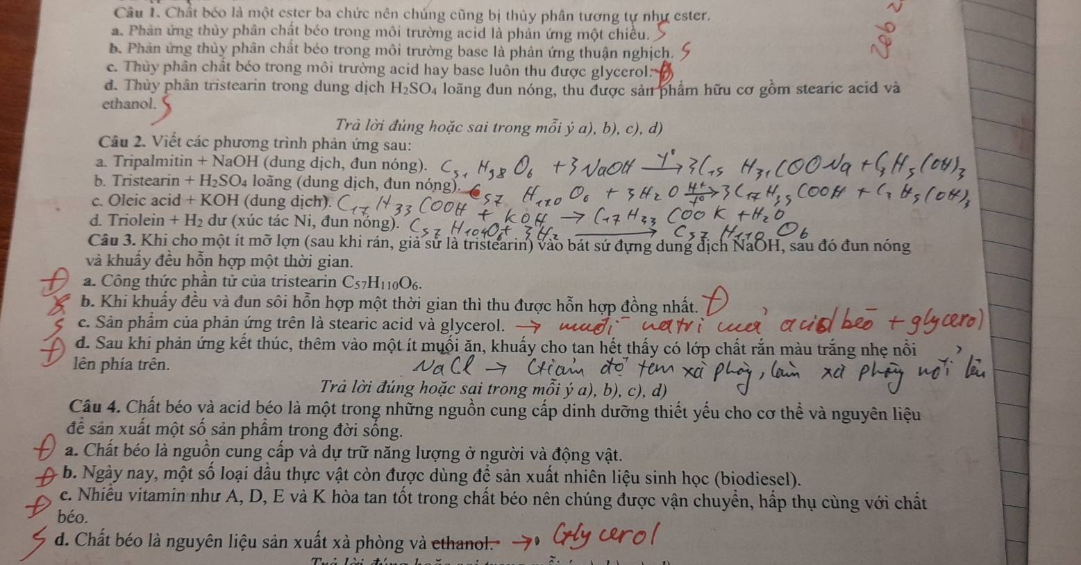 Chất béo là một ester ba chức nên chúng cũng bị thủy phân tương tự như ester.
a. Phản ứng thùy phân chất béo trong môi trường acid là phản ứng một chiều.
b. Phân ứng thủy phân chất béo trong môi trường base là phản ứng thuận nghịch.
c. Thủy phân chất béo trong môi trường acid hay base luôn thu được glycerol:
d. Thủy phân tristearin trong dung dịch H_2SO_4 loãng đun nóng, thu được sản phẩm hữu cơ gồm stearic acid và
ethanol.
Trà lời đúng hoặc sai trong mỗi ý a), b), c), d)
Câu 2. Viết các phương trình phản ứng sau:
a. Tripalmitin +NaOH I (dung dịch, đun nóng). C_5,H
b. Tristearin +H_2SO_4 loãng (dung dịch, đun nóng),
c. Oleic acid x KOH (dung dịch)
d. Triolein +H_2 dư (xúc tác Ni, đun nóng).
Câu 3. Khi cho một ít mỡ lợn (sau khi rán, giả sử là tristearin) vào bát sứ đựng dung địch NaOH, sau đó đun nóng
và khuẩy đều hỗn hợp một thời gian.
a. Công thức phần tử của tristearin C_57H_110O_6.
b. Khi khuẩy đều và đun sôi hỗn hợp một thời gian thì thu được hỗn hợp đồng nhất.
c. Sản phẩm của phản ứng trên là stearic acid và glycerol. —
d. Sau khi phản ứng kết thúc, thêm vào một ít muối ăn, khuấy cho tan hết thấy có lớp chất rắn màu trắng nhẹ nổ
lên phía trên.
Trả lời đúng hoặc sai trong mỗi ý a), b), c), d)
Câu 4. Chất béo và acid béo là một trong những nguồn cung cấp dinh dưỡng thiết yếu cho cơ thể và nguyên liệu
để sản xuất một số sản phầm trong đời sống.
a. Chất béo là nguồn cung cấp và dự trữ năng lượng ở người và động vật.
b. Ngày nay, một số loại dầu thực vật còn được dùng để sản xuất nhiên liệu sinh học (biodiesel).
c. Nhiều vitamin như A, D, E và K hòa tan tốt trong chất béo nên chúng được vận chuyền, hấp thụ cùng với chất
béo.
d. Chất béo là nguyên liệu sản xuất xà phòng và ethanol.