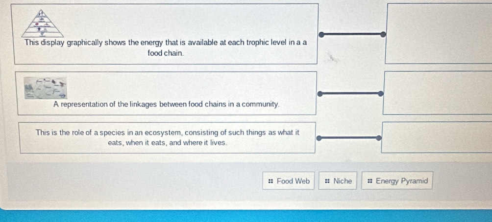 This display graphically shows the energy that is available at each trophic level in a a 
food chain. 
A representation of the linkages between food chains in a community. 
This is the role of a species in an ecosystem, consisting of such things as what it 
eats, when it eats, and where it lives. 
:: Food Web :: Niche :: Energy Pyramid