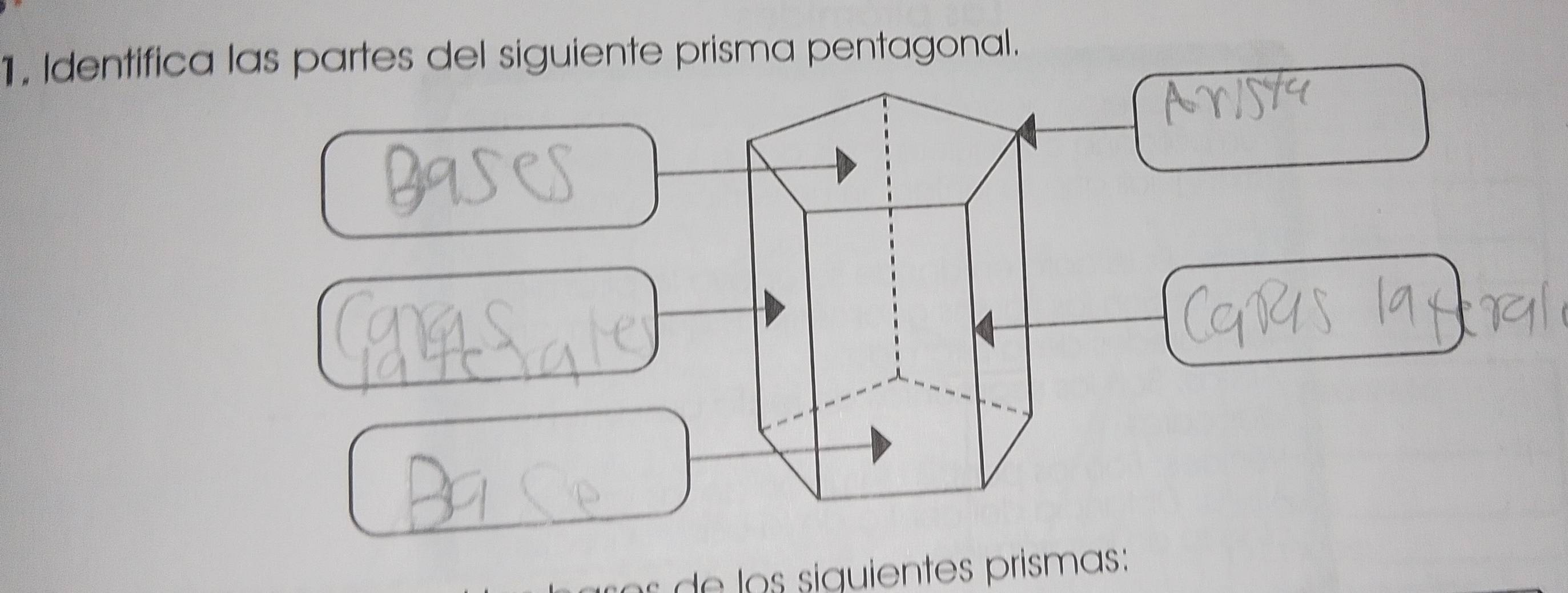 Identifica las partes del siguiente prisma pentagonal.