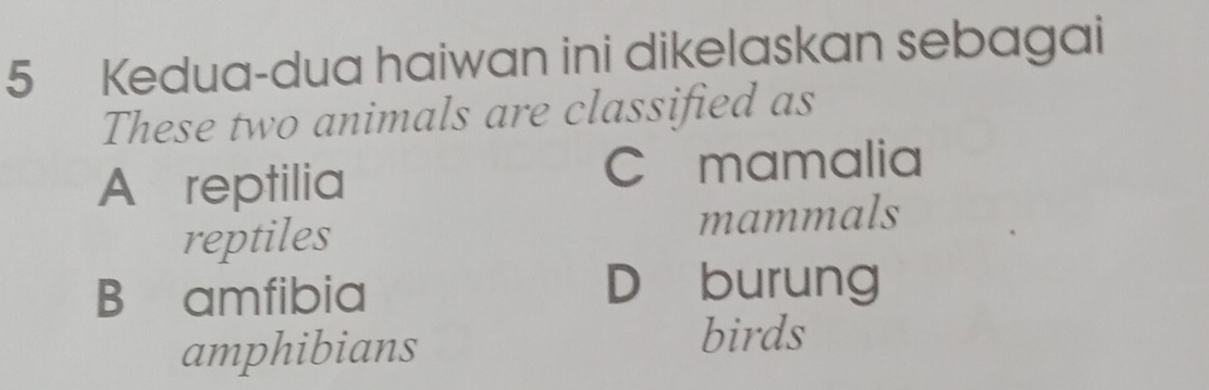 Kedua-dua haiwan ini dikelaskan sebagai
These two animals are classified as
A reptilia C mamalia
reptiles mammals
B amfibia
D burung
amphibians
birds