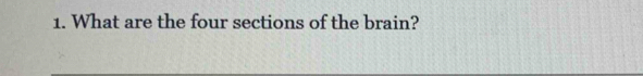 What are the four sections of the brain?