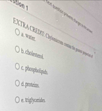 estion 1
ext question prevens sargos entecao
:XTRA CREDIT: Chylomictons contins fir grastent propection a, water.
b. cholesterol.
c. phospholipids.
d. proteins.
e. triglycerides.