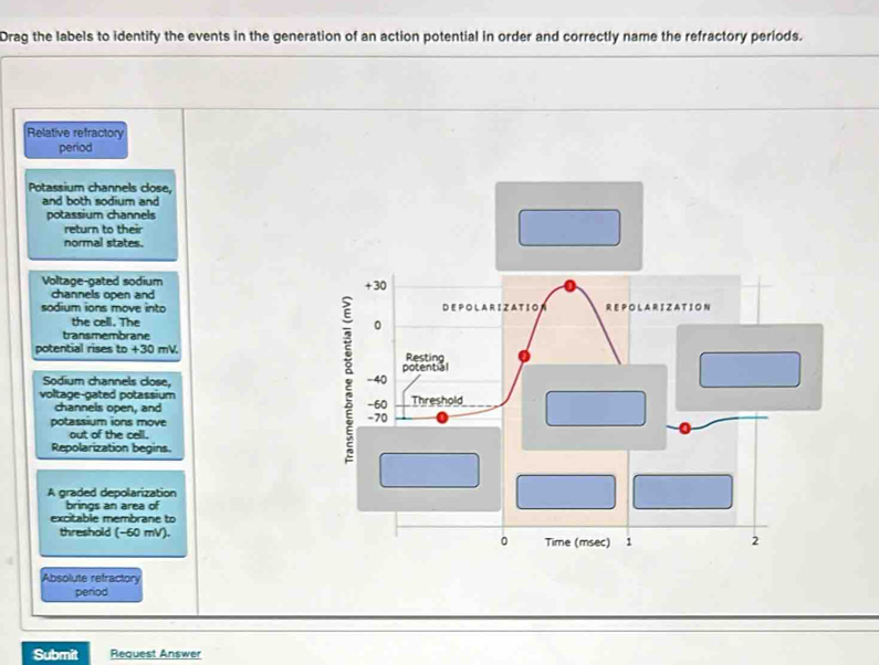 Solved: Drag the labels to identify the events in the generation of an ...