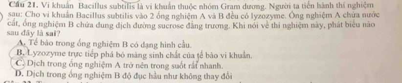 Cầu 21. Vi khuẩn Bacillus subtilis là vi khuẩn thuộc nhóm Gram dương. Người ta tiến hành thí nghiệm
sau: Cho vi khuẩn Bacillus subtilis vào 2 ống nghiệm A và B đều có lyzozyme. Ông nghiệm A chứa nước
cất, ống nghiệm B chứa dung dịch đường sucrose đẳng trương. Khi nói về thí nghiệm này, phát biểu nào
sau đây là sai?
A. Tế bào trong ống nghiệm B có dạng hình cầu.
B. Lyzozyme trực tiếp phá bỏ màng sinh chất của tế bào vi khuẩn.
C. Dịch trong ổng nghiệm A trở nên trong suốt rất nhanh.
D. Dịch trong ống nghiệm B độ đục hầu như không thay đổi