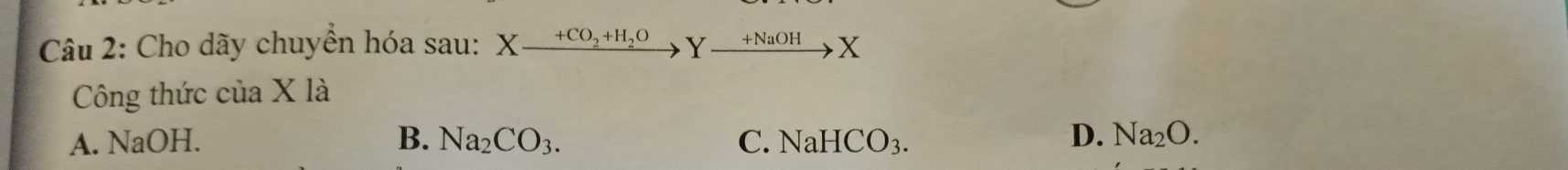 Cho dãy chuyển hóa sau: Xxrightarrow +CO_2+H_2OYxrightarrow +NaOHX
Công thức của X là
A. NaOH. B. Na_2CO_3. C. NaHCO_3. D. Na_2O.