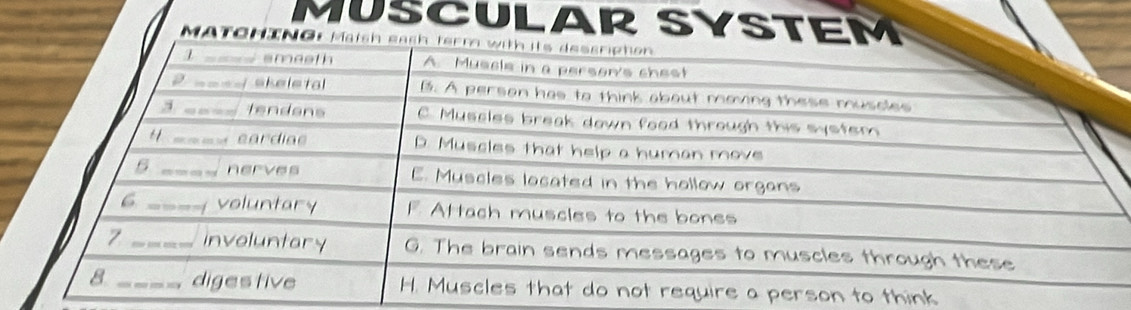 MUSCULAR SYSTEM 
MA 
son to think