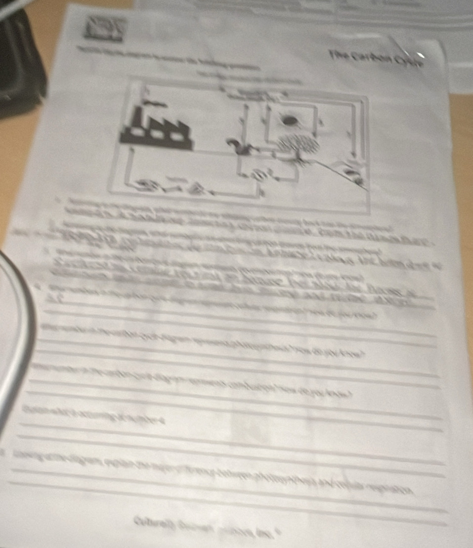 The Carbon Cycle 
n tetp back tàn t 
a s arin cnn , te m t he d am ee t re 
e e tre th e 
A n b e L e páng A nt bưén d = = 

e ãa Comioe 1e 
o c ece mpo to nea e lo 

_ 
L a m t aa n thị cạ bàn qiốn t g eite étume repition ( soa de fouréoa) 
_ 
_t rembu in the eatbon cycrdiagwin represand photogyntheus? row bo you know ? 
_ 
_ 
_nter in the carbon cycle diagiam repments combustion? How do you know ? 
_ 
diain what a octurring achumber 4 
_ 
_ 
laesing at the diagram, explain the majer ef ference between photosynthesis and coqular respration. 
Culturally Guituan. péísice, Inc."