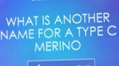 WHAT IS ANOTHER 
NAME FOR A TYPE C 
MERINO