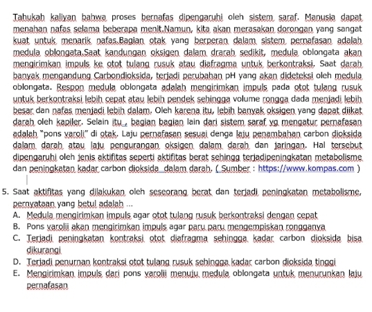 Tahukah kaliyan bahwa proses bernafas dipengaruhi oleh sistem saraf. Manusia dapat
menahan nafəs selama beberapa menit.Namun, kita akan merasakan dorongan yang sangat
kuat untuk, menarik, nafas.Bagian, otak yang berperan dalam, sistem, pernafasan, adalah
medula oblongata.Saat kandungan oksigen dalam drarah sedikit, medula oblongata akan
mengirimkan impuls ke otot tulang rusuk atau diafragma untuk berkontraksi. Saat darah
banyak mengandung Carbondioksida, terjadi perubahan pH yang akan dideteksi oleh medula
oblongata. Respon medula oblongata adalah mengirimkan impuls pada otot tulang rusuk
untuk berkontraksi lebih cepat atau lebih pendek sehingga volume rongga dada menjadi lebih
besar dan nafas menjadi lebih dalam. Oleh karena itu, lebih banyak oksigen yang dapat diikat
darah oleh kapiler. Selain itu_, bagian bagian lain dari sistem saraf yg mengatur pernafasan
adalah “pons varoli” di otak. Laju pernafasan sesuai denga laju penambahan carbon dioksida
dalam darah atau laju pengurangan oksigen dalam darah dan jaringan. Hal tersebut
dipengaruhi oleh jenis aktifitas seperti aktifitas berat sehingg terjadipeningkatan metabolisme
dan peningkatan kadar carbon dioksida_dalam darah. (_Sumber : https://www.kompas.com )
5. Saat aktifitas yang dilakukan oleh seseorang berat dan terjadi peningkatan metabolisme.
pernyataan yang betul adalah ...
A. Medula mengirimkan impuls agar otot tulang rusuk berkontraksi dengan cepat
B. Pons varolii akan mengirimkan impuls agar pary pary mengempiskan rongganya
C. Terjadi peningkatan kontraksi otot diafragma sehingga kadar carbon dioksida bisa
dikurangi
D. Terjadi penurnan kontraksi otot tulang rusuk sehingga kadar carbon dioksida tinggi
E. Mengirimkan impuls dari pons varolii menuiu medula oblongata untuk menurunkan laju
pernafasan