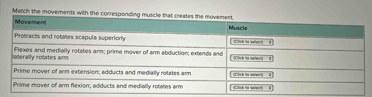 Match the movements with the cor