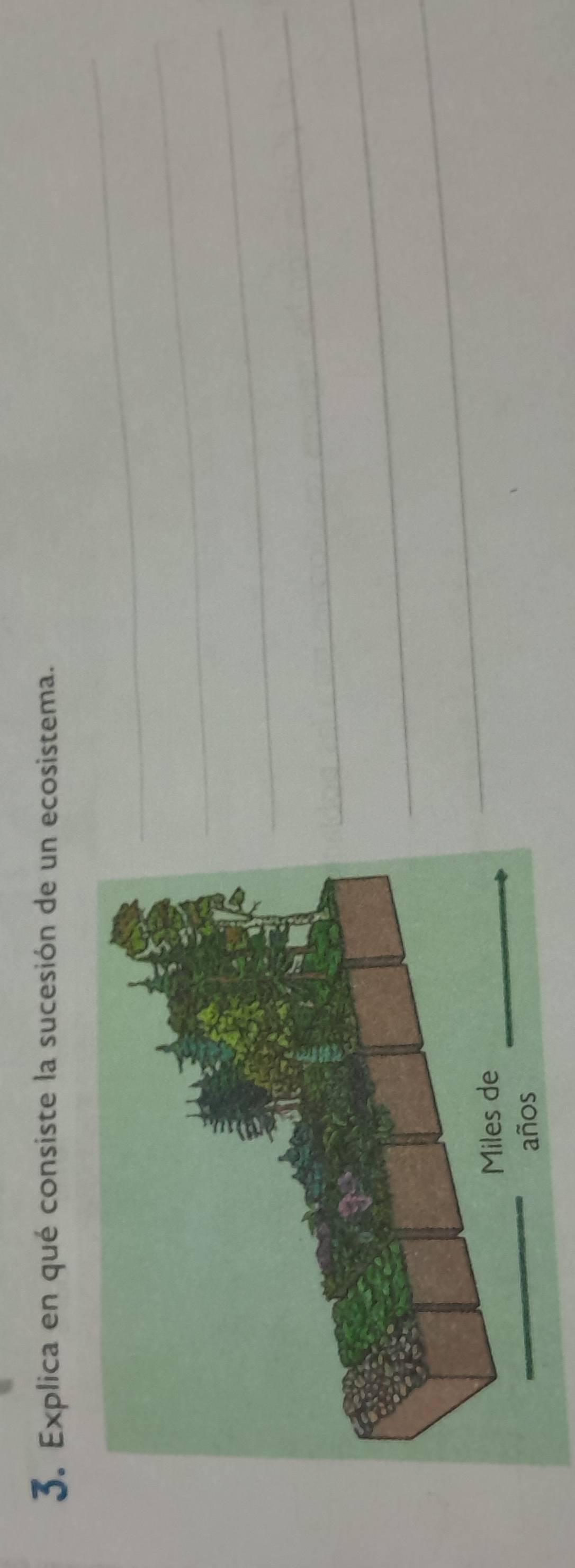 Explica en qué consiste la sucesión de un ecosistema. 
_ 
_ 
_ 
_ 
_ 
_