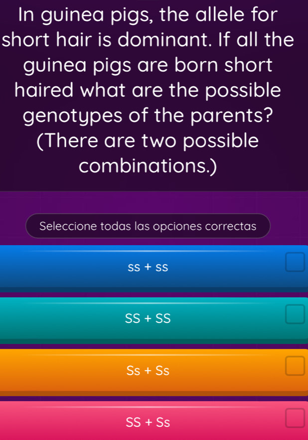 In guinea pigs, the allele for
short hair is dominant. If all the
guinea pigs are born short
haired what are the possible
genotypes of the parents?
(There are two possible
combinations.)
Seleccione todas las opciones correctas
SS+SS
SS+SS
Ss+Ss
SS+Ss