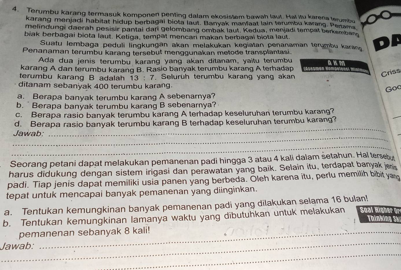 Terumbu karang termasuk komponen penting dalam ekosistem bawah laut. Hal itu karena terumbu
karang menjadi habitat hidup berbagai biota laut. Banyak manfaat lain terumbu karang. Pertama,
melindungi daerah pesisir pantai dari gelombang ombak laut. Kedua, menjadi tempat berkembang
biak berbagai biota laut. Ketiga, tempat mencari makan berbagai biota laut. ◣
Suatu lembaga peduli lingkungan akan melakukan kegiatan penanaman terumbu karang,
Penanaman terumbu karang tersebut menggunakan metode transplantasi.
Ada dua jenis terumbu karang yang akan ditanam, yaitu terumbu AKM
karang A dan terumbu karang B. Rasio banyak terumbu karang A terhadap Asesmen Kompetensi Minimu
terumbu karang B adalah 13:7 a  Selurüh terumbu karang yang akan
Criss
ditanam sebanyak 400 terumbu karang.
Goo
a. Berapa banyak terumbu karang A sebenarnya?
b.  Berapa banyak terumbu karang B sebenarnya?
_
c. Berapa rasio banyak terumbu karang A terhadap keseluruhan terumbu karang?
_
d. Berapa rasio banyak terumbu karang B terhadap keseluruhan terumbu karang?
_
Jawab:
_
Seorang petani dapat melakukan pemanenan padi hingga 3 atau 4 kali dalam setahun. Hal tersebut
harus didukung dengan sistem irigasi dan perawatan yang baik. Selain itu, terdapat banyak jemis
padi. Tiap jenis dapat memiliki usia panen yang berbeda. Oleh karena itu, perlu memilih bibit yang
tepat untuk mencapai banyak pemanenan yang diinginkan.
a. Tentukan kemungkinan banyak pemanenan padi yang dilakukan selama 16 bulan!
b. Tentukan kemungkinan lamanya waktu yang dibutuhkan untuk melakukan Soal Higher Or
Thinking Ski
_
pemanenan sebanyak 8 kali!
_
Jawab: