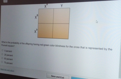 Punnett square? What is the probability of the offspring having red-green color blindness for the cross that is represented by the
O perent
25 percent
50 perent
75 percent
Wuy ti and retcn
Save and Exit