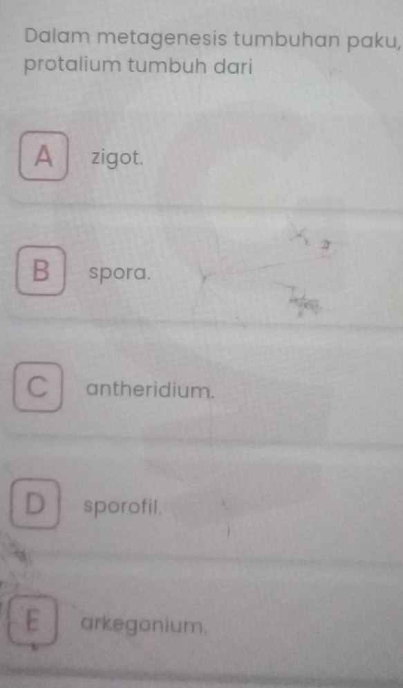 Dalam metagenesis tumbuhan paku,
protalium tumbuh dari
A zigot.
B spora.
C antheridium.
D sporofil.
E arkegonium.