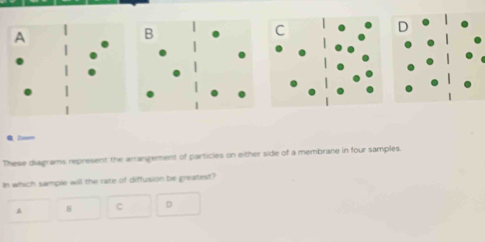 A
Q 2msm
These diagrams represent the arrangement of particles on either side of a membrane in four samples.
In which sample will the rate of diffusion be greatest?
A 8 C D