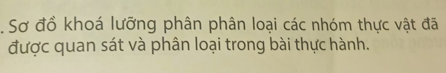 Sơ đồ khoá lưỡng phân phân loại các nhóm thực vật đã 
được quan sát và phân loại trong bài thực hành.