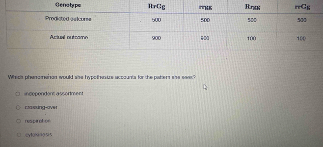 Which phenomenon would she hypothesize accounts for the pattern she sees?
independent assortment
crossing-over
respiration
cytokinesis