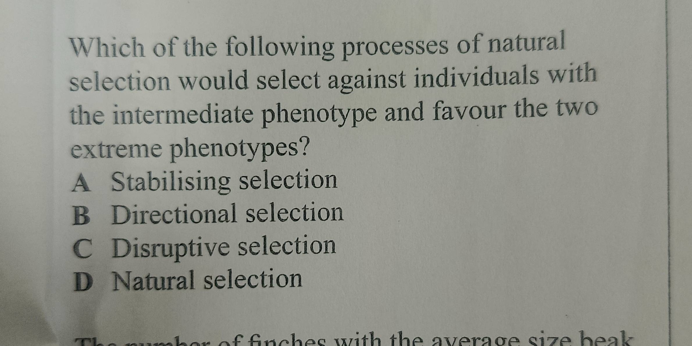 Which of the following processes of natural
selection would select against individuals with
the intermediate phenotype and favour the two
extreme phenotypes?
A Stabilising selection
B Directional selection
C Disruptive selection
D Natural selection
of finches with the average size beak .