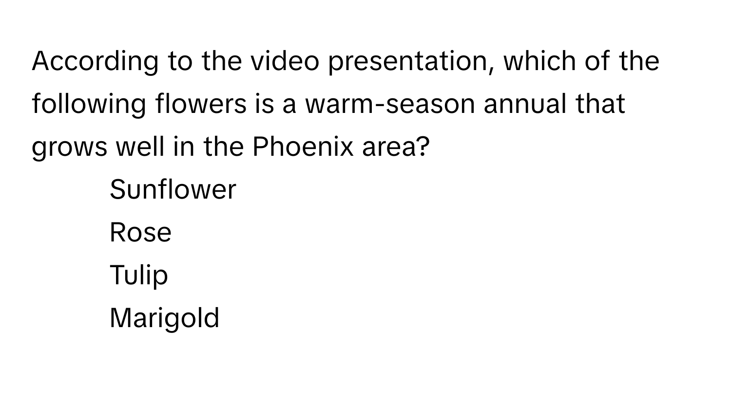 According to the video presentation, which of the following flowers is a warm-season annual that grows well in the Phoenix area?

1) Sunflower 
2) Rose 
3) Tulip 
4) Marigold