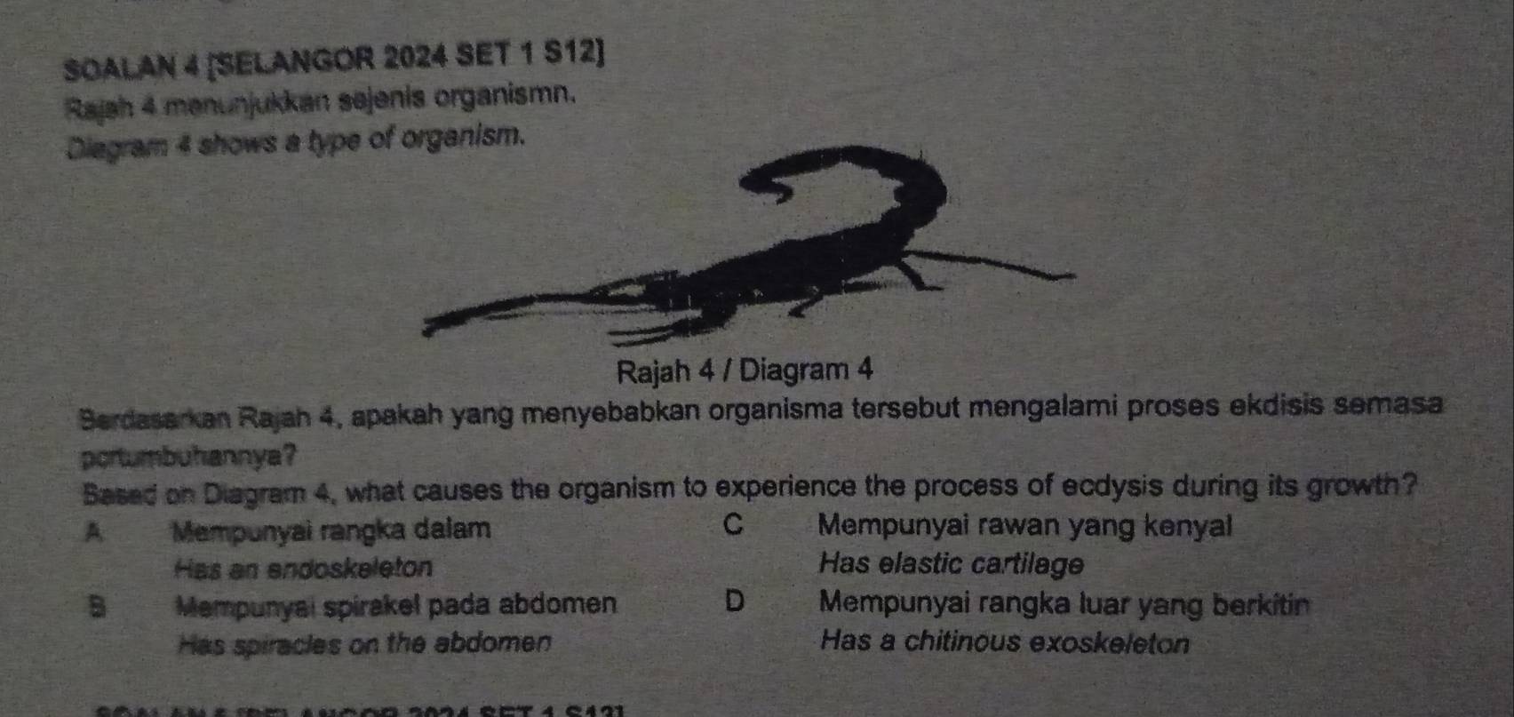 SOALAN 4 [SELANGOR 2024 SET 1 S12]
Rajah 4 manunjukkan sejenis organismn.
Diegram 4 shows a type
Rajah 4 / Diagram 4
Berdasarkan Rajah 4, apakah yang menyebabkan organisma tersebut mengalami proses ekdisis semasa
portumbuhannya?
Based on Diagram 4, what causes the organism to experience the process of ecdysis during its growth?
A Mempunyai rangka dalam C Mempunyai rawan yang kenyal
Has an endoskeleton Has elastic cartilage
B Mempunyai spirakel pada abdomen D Mempunyai rangka luar yang berkitin
Has spiracles on the abdomen Has a chitinous exoskeleton