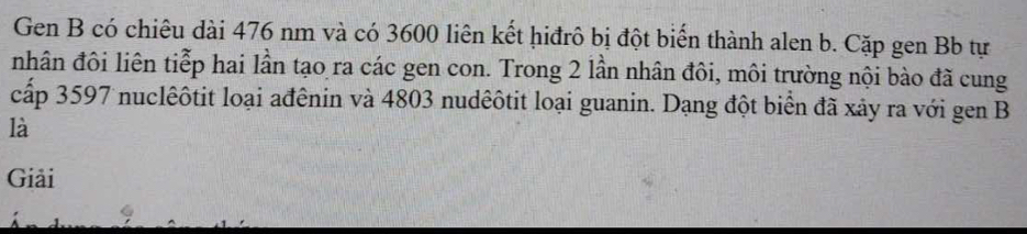 Gen B có chiêu dài 476 nm và có 3600 liên kết hiđrô bị đột biến thành alen b. Cặp gen Bb tự 
nhân đôi liên tiễp hai lần tạo ra các gen con. Trong 2 lần nhân đôi, môi trường nội bào đã cung 
cấp 3597 nuclêôtit loại ađênin và 4803 nudêôtit loại guanin. Dạng đột biển đã xảy ra với gen B 
là 
Giải