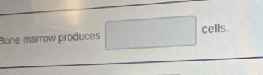 Bone marrow produces cells.