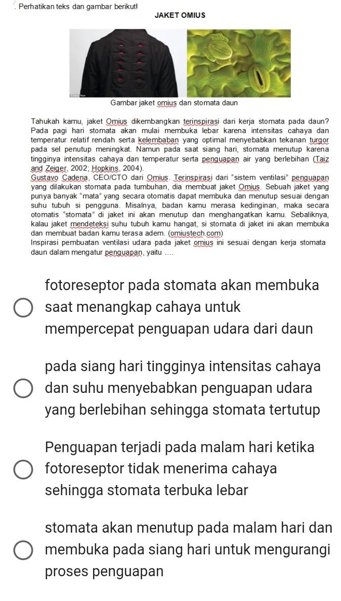 Perhatikan teks dan gambar berikut!
JAKET OMIUS
Gambar jaket omius dan stomata daun
Tahukah kamu, jaket Omius dikembangkan terinspirasi dari kerja stomata pada daun?
Pada pagi hari stomata akan mulai membuka lebar karena intensitas cahaya dan
temperatur relatif rendah serta kelembaban yang optimal menyebabkan tekanan turgor
pada sel penutup meningkat. Namun pada saat siang hari, stomata menutup karena
tingginya intensitas cahaya dan temperatur serta penguapan air yang berlebihan (Taiz
and Zeiger, 2002; Hopkins, 2004)
Gustavo Cadena, CEO/CTO dari Omius. Terinspirași dari "sistem ventilasi" penguapan
yang dilakukan stomata pada tumbuhan, dia membuat jaket Omius. Sebuah jaket yang
punya banyak "mata" yang secara otomatis dapat membuka dan menutup sesuai dengan
suhu tubuh si pengguna. Misalnya, badan kamu merasa kedinginan, maka secara
otomatis “stomata” di jaket ini akan menutup dan menghangatkan kamu. Sebaliknya,
kalau jaket mendeteksi suhu tubuh kamu hangat, si stomata di jaket ini akan membuka
dan membuat badan kamu terasa adem. (omiustech.com)
Inspirasi pembuatan ventilasi udara pada jaket omius ini sesuai dengan kerja stomata
daun dalam mengatur penguapan, yaitu ....
fotoreseptor pada stomata akan membuka
saat menangkap cahaya untuk
mempercepat penguapan udara dari daun
pada siang hari tingginya intensitas cahaya
dan suhu menyebabkan penguapan udara
yang berlebihan sehingga stomata tertutup
Penguapan terjadi pada malam hari ketika
fotoreseptor tidak menerima cahaya
sehingga stomata terbuka lebar
stomata akan menutup pada malam hari dan
membuka pada siang hari untuk mengurangi
proses penguapan