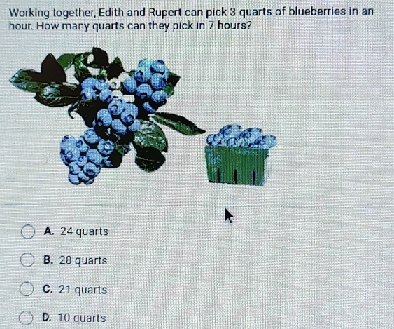 Working together, Edith and Rupert can pick 3 quarts of blueberries in an
hour. How many quarts can they pick in 7 hours?
A. 24 quarts
B. 28 quarts
C. 21 quarts
D. 10 quarts