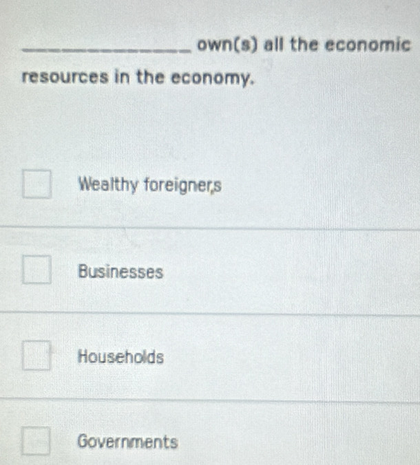 own(s) all the economic
resources in the economy.
Wealthy foreigners
_
Businesses
Households
Governments