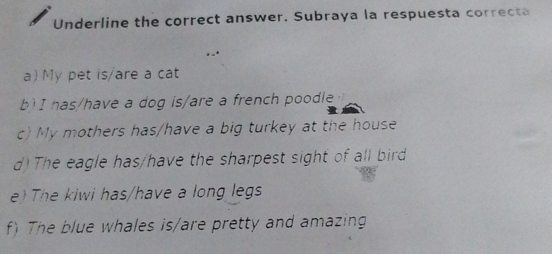 Underline the correct answer. Subraya la respuesta correcta
a) My pet is/are a cat
b I has/have a dog is/are a french poodle
c) My mothers has/have a big turkey at the house
d) The eagle has/have the sharpest sight of all bird
e) The kiwi has/have a long legs
f) The blue whales is/are pretty and amazing