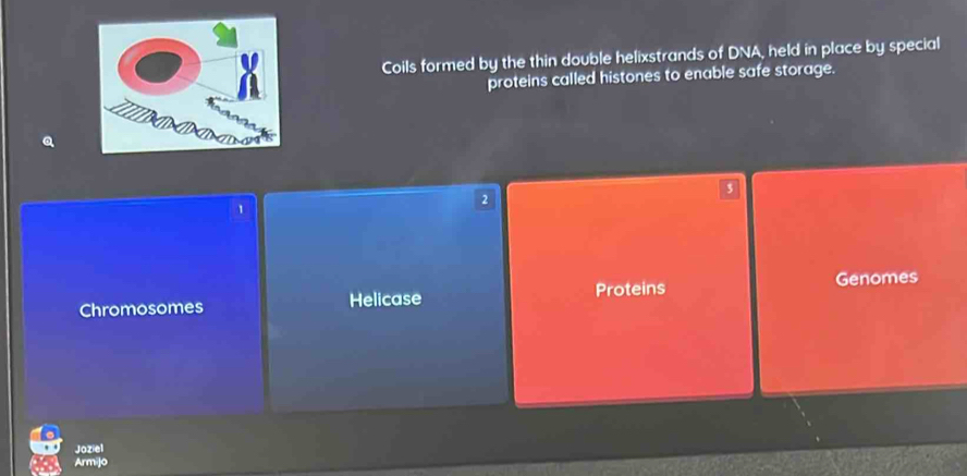 Coils formed by the thin double helixstrands of DNA held in place by special
proteins called histones to enable safe storage.
3
2
1
Chromosomes Helicase Proteins Genomes
Joziel
Armijo