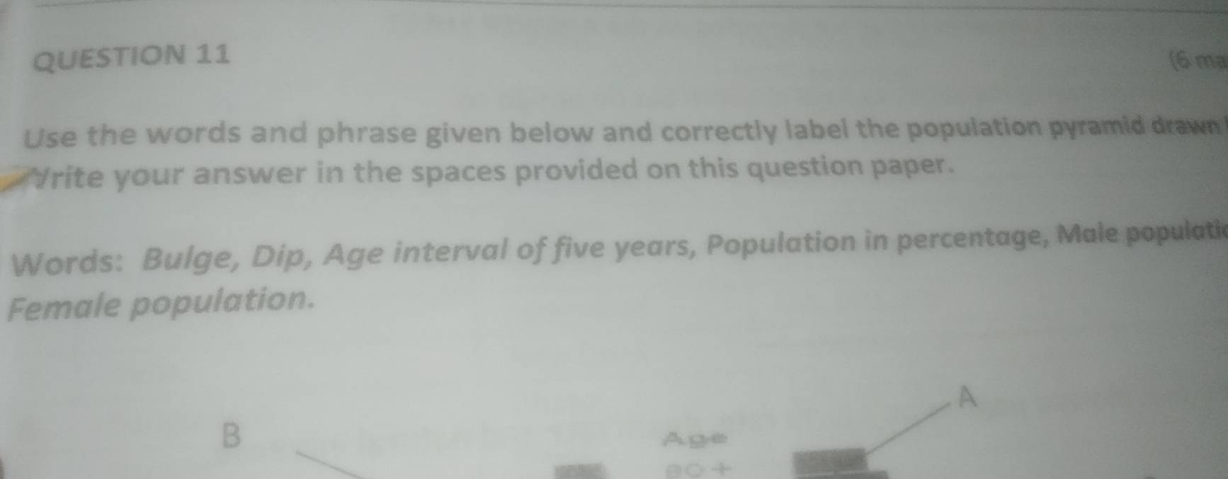 (6 ma 
Use the words and phrase given below and correctly label the population pyramid drawn 
"Irite your answer in the spaces provided on this question paper. 
Words: Bulge, Dip, Age interval of five years, Population in percentage, Male populatic 
Female population. 
A 
B 
Age 
a