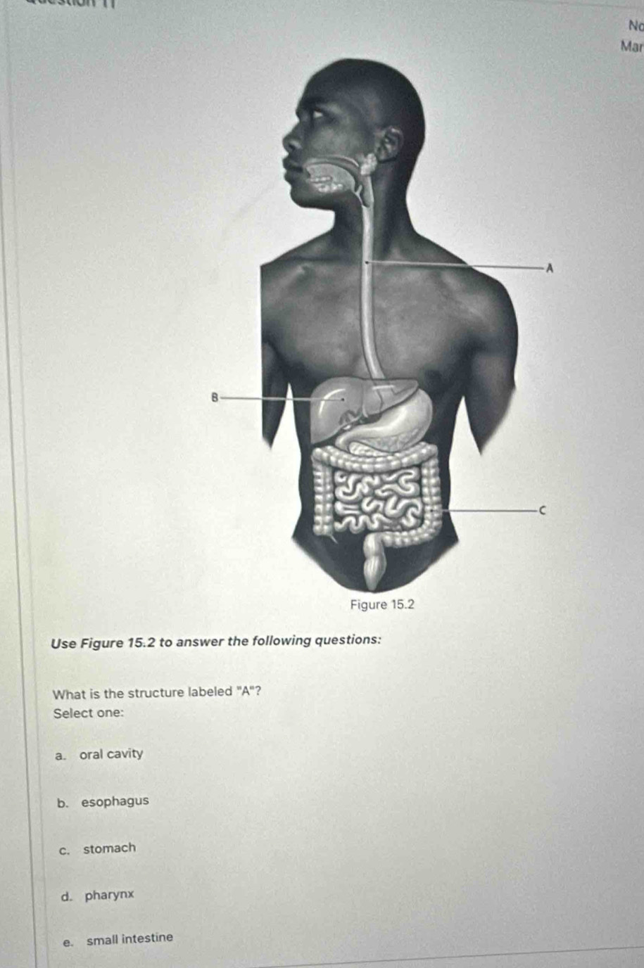 No
Mar
Use Figure 15.2 to answer the following questions:
What is the structure labeled "A"?
Select one:
a. oral cavity
b. esophagus
c. stomach
d. pharynx
e. small intestine