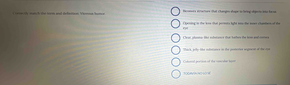 Biconvex structure that changes shape to bring objects into focus
Correctly match the term and definition: Vitreous humor.
Opening in the lens that permits light into the inner chambers of the
eye
Clear, plasma-like substance that bathes the lens and cornea
Thick, jelly-like substance in the posterior segment of the eye
Colored portion of the vascular layer
TODAVÍA NO LO SE