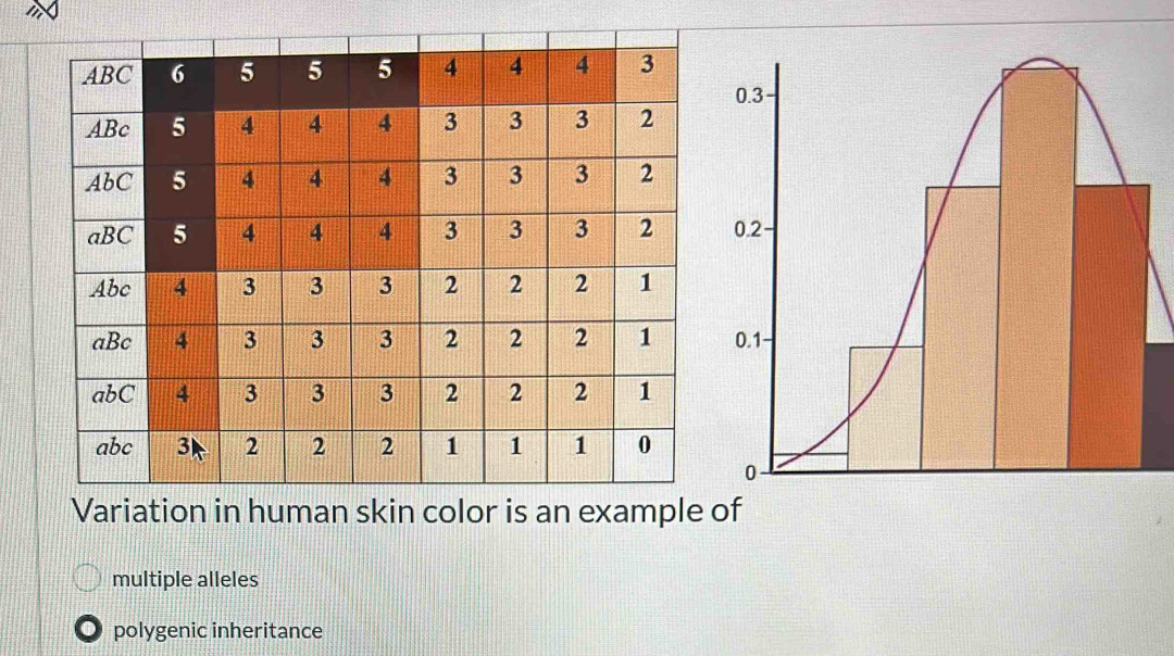 of
multiple alleles
polygenic inheritance