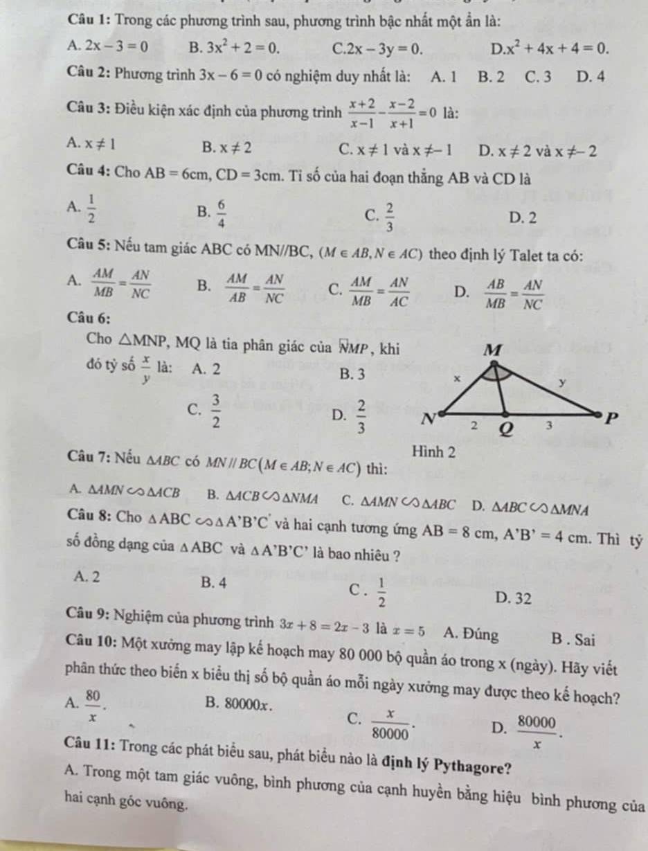 Trong các phương trình sau, phương trình bậc nhất một ẩn là:
A. 2x-3=0 B. 3x^2+2=0. C. 2x-3y=0. D x^2+4x+4=0.
Câu 2: Phương trình 3x-6=0 có nghiệm duy nhất là: A. 1 B. 2 C. 3 D. 4
Câu 3: Điều kiện xác định của phương trình  (x+2)/x-1 - (x-2)/x+1 =0 là:
A. x!= 1 B. x!= 2
C. x!= 1 và x!= -1 D. x!= 2 và x!= -2
Câu 4: Cho AB=6cm,CD=3cm 1. Tỉ số của hai đoạn thẳng AB và CD là
A.  1/2   6/4 
B.
C.  2/3  D. 2
Câu 5: Nếu tam giác ABC có  MN 1//1 BC, (M ∈AB,N∈AC) theo định lý Talet ta có:
A.  AM/MB = AN/NC  B.  AM/AB = AN/NC  C.  AM/MB = AN/AC  D.  AB/MB = AN/NC 
Câu 6:
Cho △ MNP , MQ là tia phân giác của overline NM P, khi
đó tỷ số  x/y  là: A. 2
B. 3
D.
C.  3/2   2/3 
Hình 2
Câu 7: Nếu △ ABC có MN//BC(M∈ AB;N∈ AC) thì:
A. ∆AMN ∽ △ ACB B. △ ACBC△ NMA C. △ AMNC△ △ ABC D. △ ABC∽ △ MNA
Câu 8: Cho △ ABC ∽ △ A'B'C' và hai cạnh tương ứng AB=8cm,A'B'=4cm Thì tỷ
số đồng dạng của △ ABC và △ A'B'C' là bao nhiêu ?
A. 2 B. 4 C.  1/2  D. 32
* Câu 9: Nghiệm của phương trình 3x+8=2x-3 là x=5 A. Đúng B . Sai
Câu 10: Một xưởng may lập kế hoạch may 80 000 bộ quần áo trong x (ngày). Hãy viết
phân thức theo biến x biểu thị số bộ quần áo mỗi ngày xưởng may được theo kế hoạch?
A.  80/x . B. 80000x.
C.  x/80000 .
D.  80000/x .
Câu 11: Trong các phát biểu sau, phát biểu nào là định lý Pythagore?
A. Trong một tam giác vuông, bình phương của cạnh huyền bằng hiệu bình phương của
hai cạnh góc vuông.