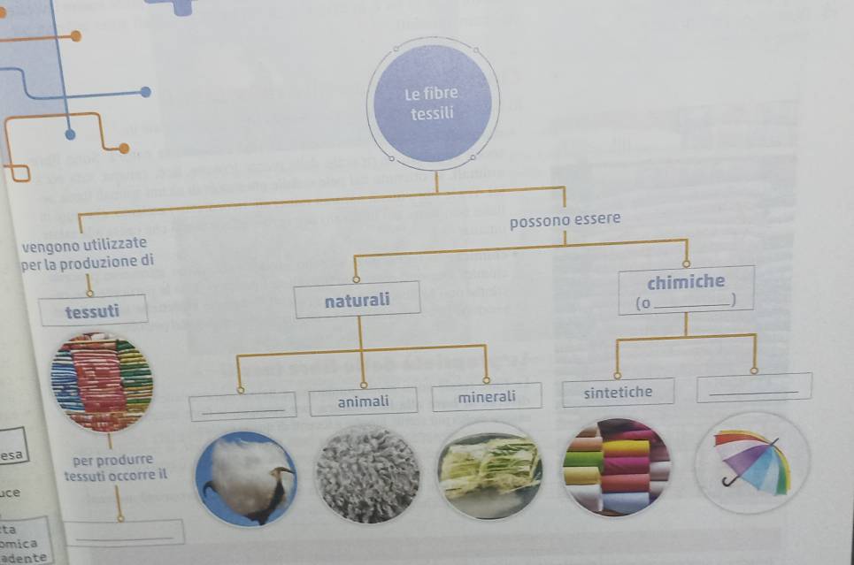 vengono utilizzate 
per la produzione 
tessuti 
esa per produrr 
tessuti occor 
ace 
_ 
ta 
miça 
adente