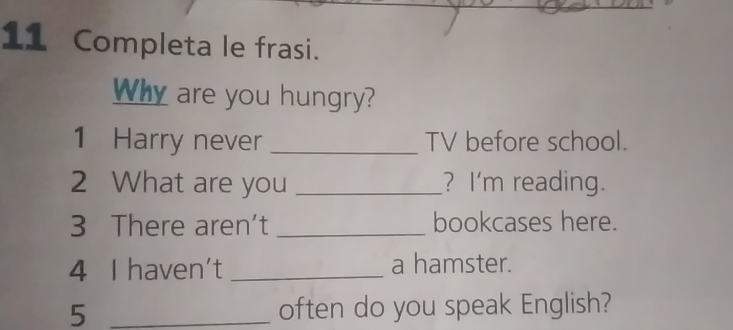 Completa le frasi. 
Why are you hungry? 
1 Harry never _TV before school. 
2 What are you _? I'm reading. 
3 There aren’t _bookcases here. 
4 I haven't_ 
a hamster. 
5 _often do you speak English?